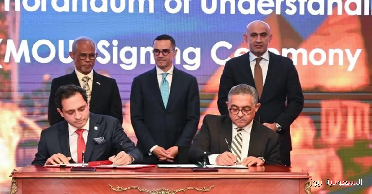 700 مليون دولار استثمارات سنغافورية في مصر عبر 129 شركة حتى يونيو 2024 وفقاً للخطيب