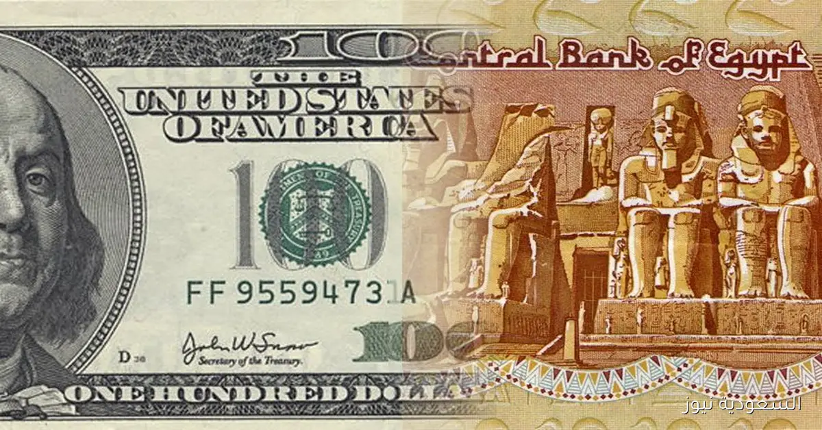 أسعار الدولار تستمر في التغير مقابل الجنيه في البنوك