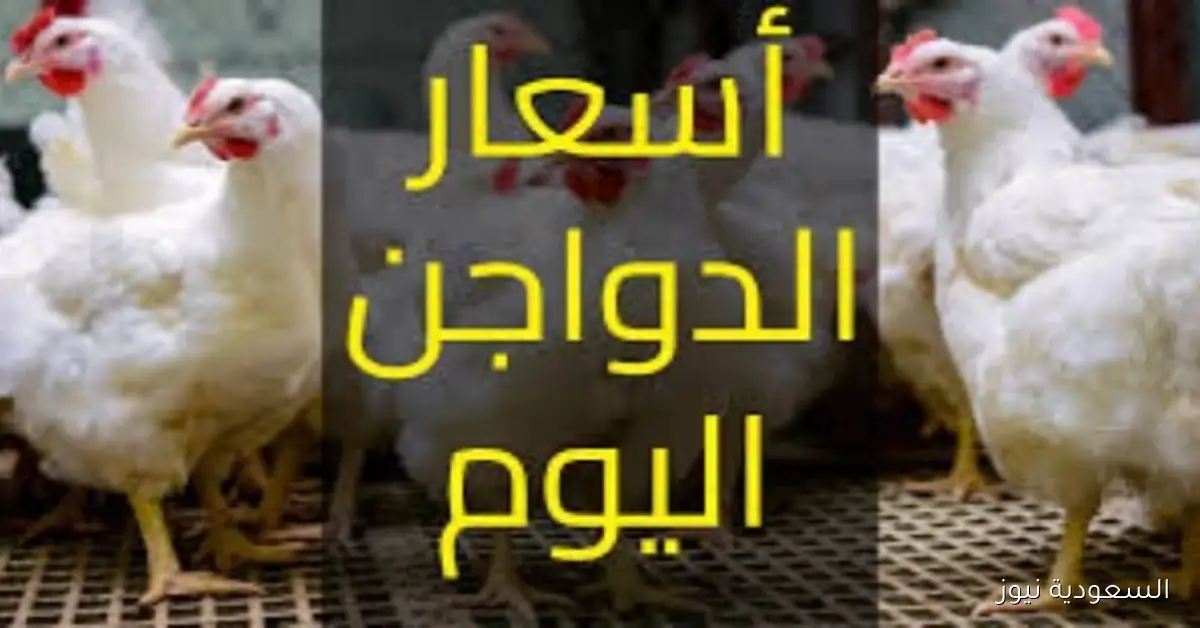 أسعار الفراخ اليوم الثلاثاء 30 سبتمبر 2025 البانيه بـ200 جنيه