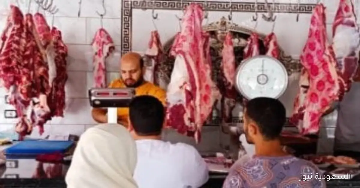 أسعار اللحوم البلدية والمستوردة في الأسواق اليوم الأربعاء 17 سبتمبر 2025