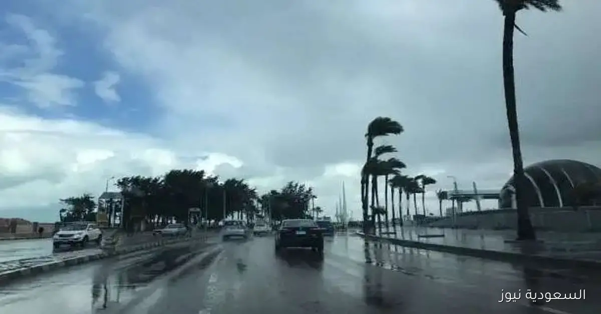 أمطار رعدية غزيرة متوقعة في تلك المناطق اليوم الأربعاء 25-3-1447 في المملكة