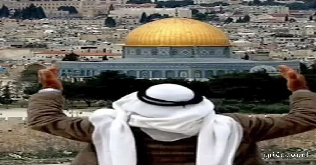 إسبانيا: مؤتمر حل الدولتين يمثل نقطة تحول مهمة لفلسطين ولكنه ليس نهاية المطاف