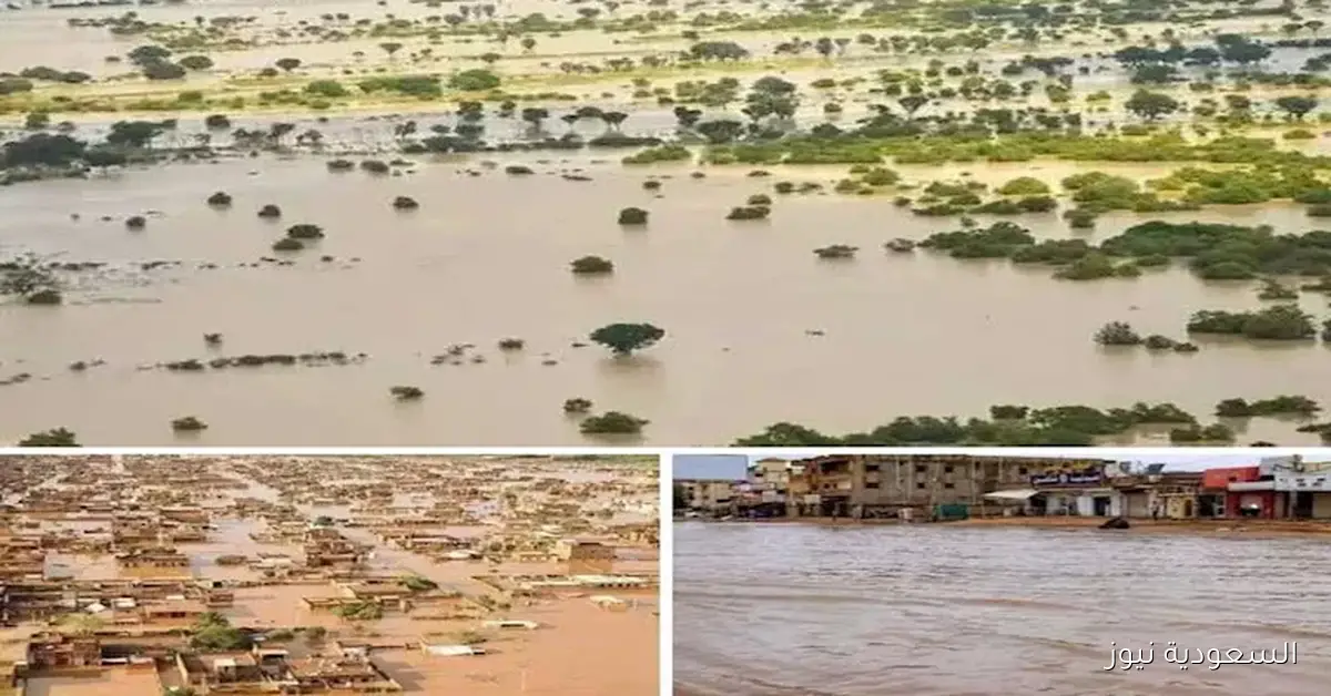 إنذار عاجل للنيل: فيضان سد النهضة يهدد المدن السودانية بالغرق – فيديوهات
