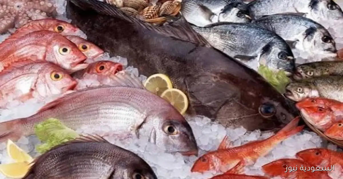 استقرار أسعار الأسماك وزيادة طفيفة في سعر الجمبري بالأسواق المحلية