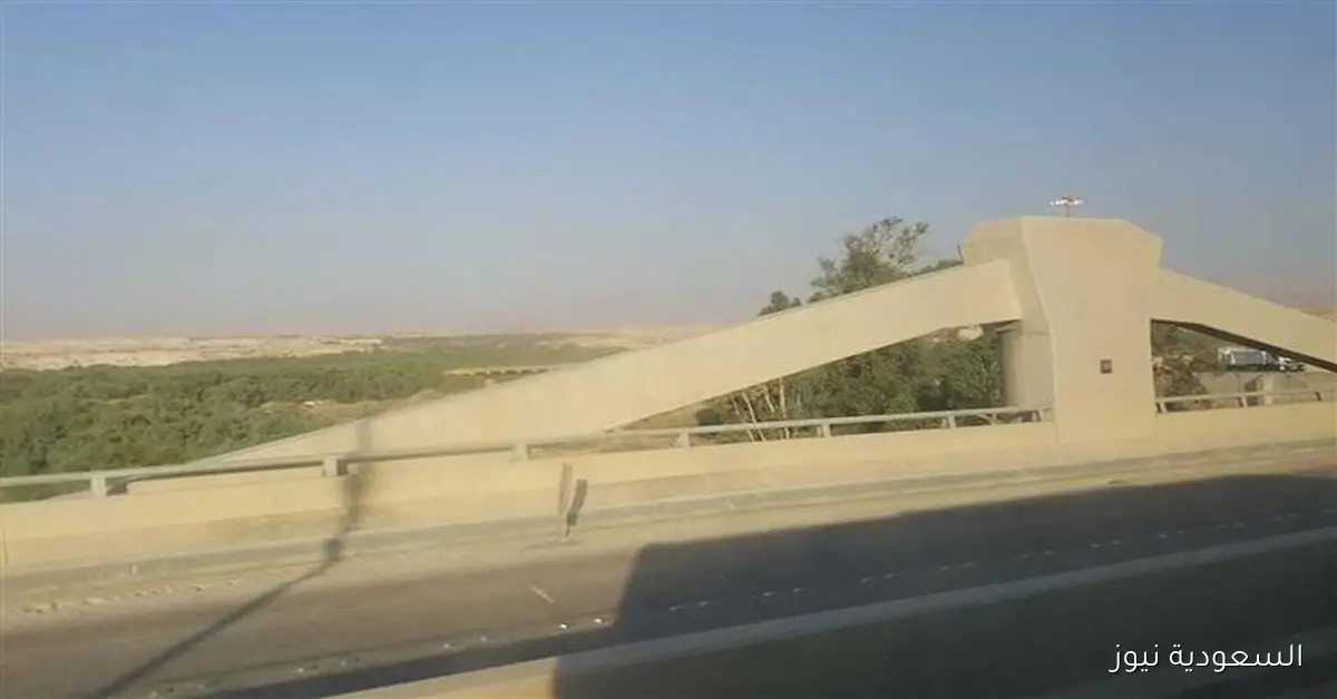 الأردن يعلق حركة المسافرين عبر جسر الملك حسين بعد إغلاقه من الجانب الآخر