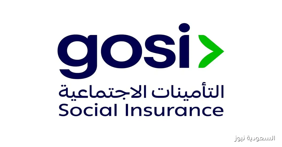 التأمينات الاجتماعية تشرح طريقة حساب المعاش عند العمل في أكثر من وظيفة