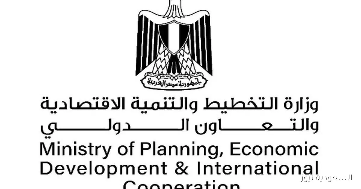 التخطيط والشباب والرياضة تطلقان فعاليات التصويت الإلكتروني لنادي الزهور بالتعاون مع النيابة الإدارية