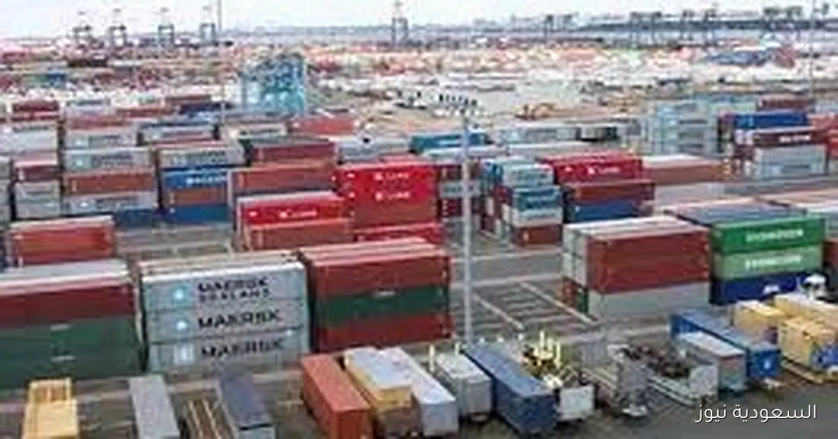 الجمارك تحقق إيرادات بقيمة 12.126 مليون جنيه من مزاد علني لبيع سيارات وبضائع متنوعة