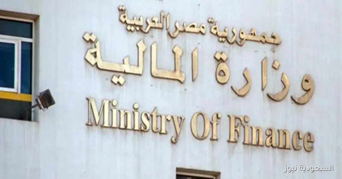 الحكومة تزيد مستهدفات الاستثمارات غير المالية بمقدار 10 مليارات جنيه وتكشف التفاصيل