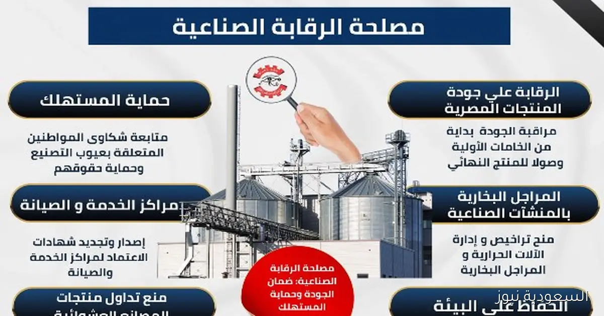 الرقابة الصناعية تعزز جودة المنتجات المصرية وتحمي المستهلك وتدعم الصناعة الوطنية