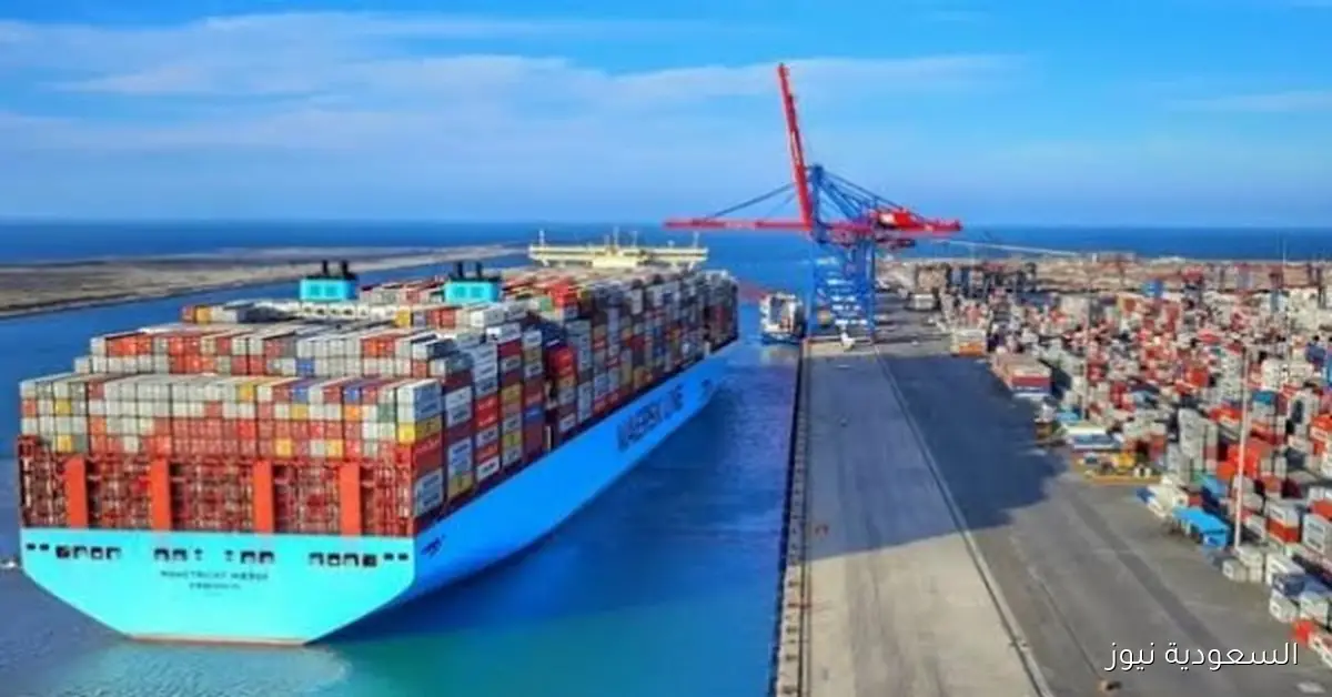 الصناعات الغذائية المصرية تسجل أعلى صادرات تاريخية بقيمة 4.6 مليار دولار خلال 8 أشهر