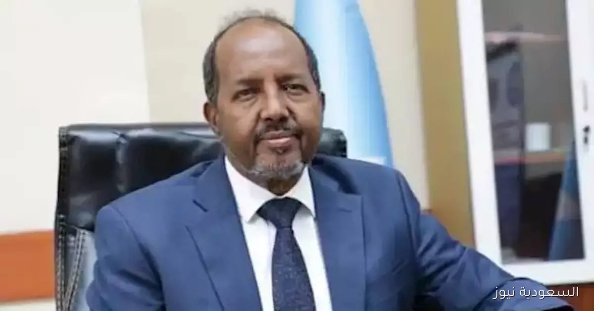 الصومال: عدم التصدي للانتهاكات الإسرائيلية يشكل سابقة تهدد استقرار القانون الدولي