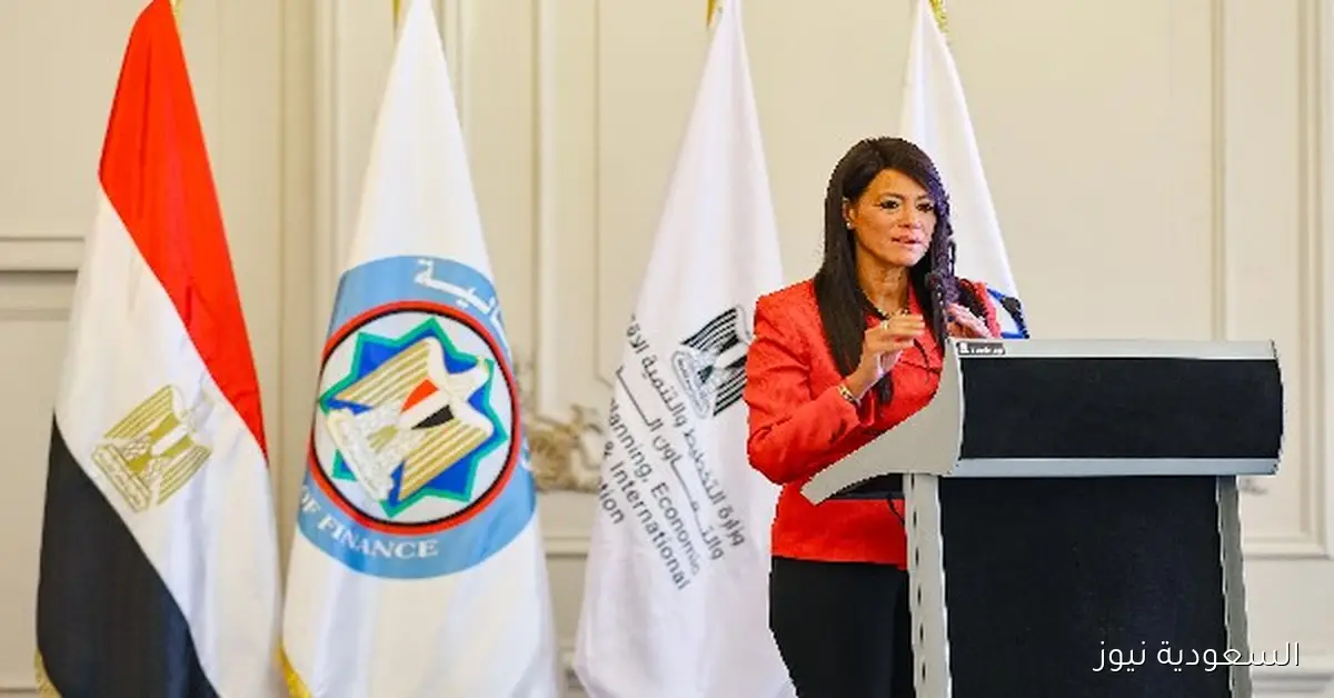 المشاط تؤكد أن مصر أصبحت منصة رئيسية لجميع الشركاء الدوليين بفضل الإصلاحات الاقتصادية الجادة