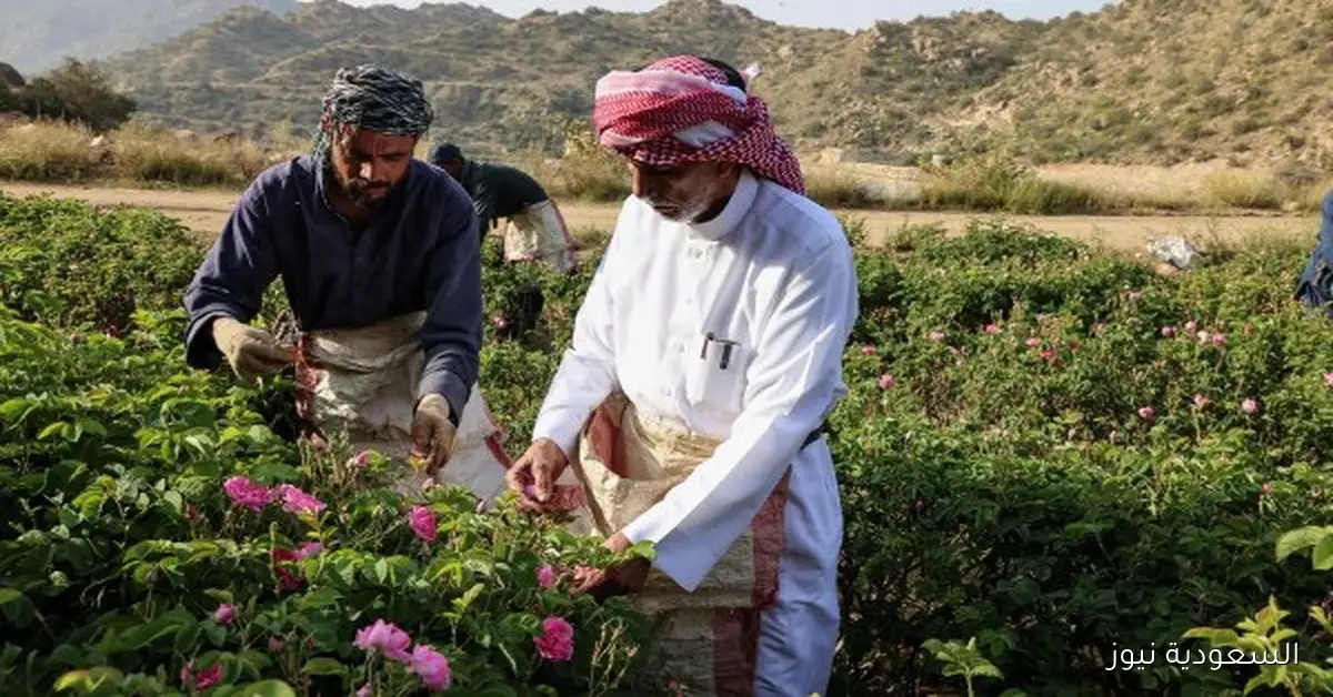 انخفاض معدل البطالة في السعودية إلى 3.2% في الربع الثاني من 2025