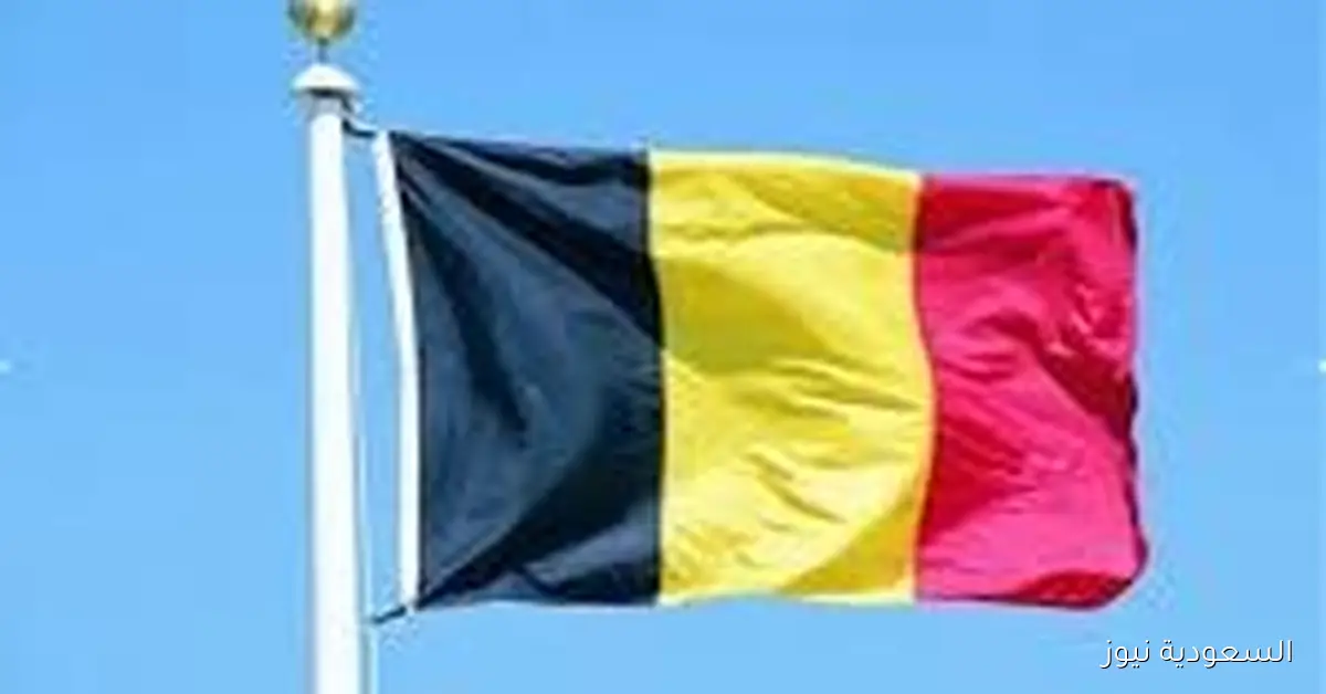 انخفاض ملحوظ في معدلات الفقر المالي في بلجيكا