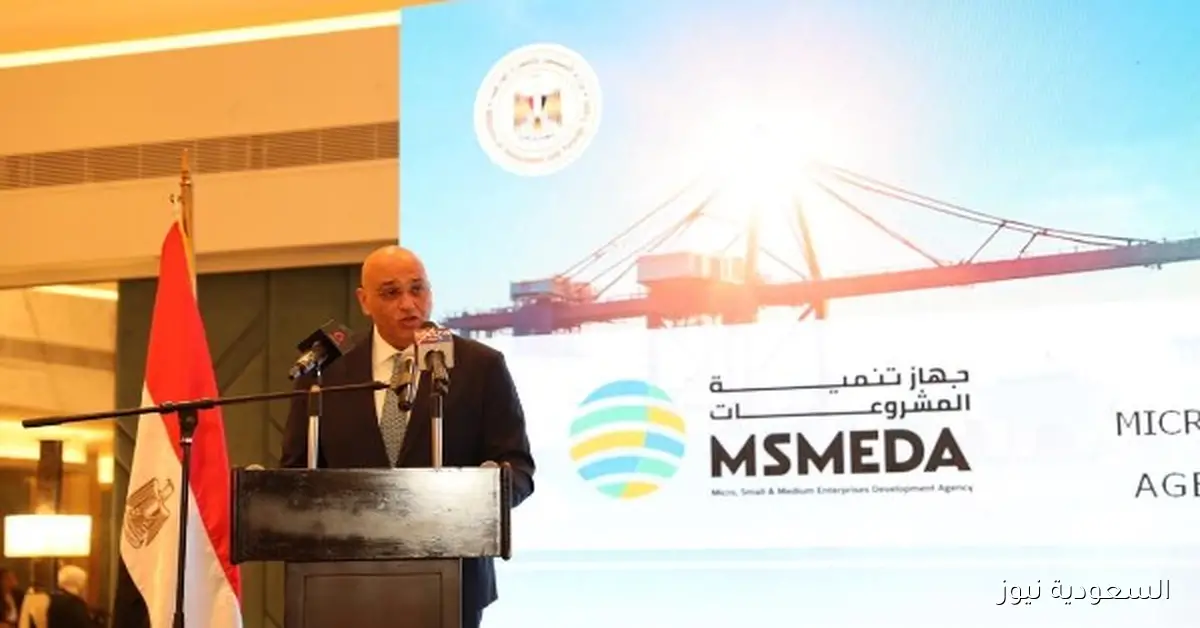 باسل رحمي يعلن عن فتح أسواق أفريقية دائمة لمنتجات المشروعات الصغيرة والمتوسطة في مصر