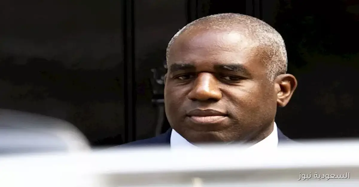 بريطانيا: الاعتراف بدولة فلسطينية لا يعني تحقيق الدولة بشكل فوري