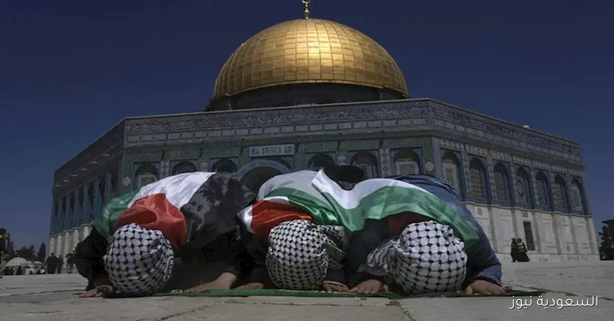 بريطانيا توجه رسالة إلى مصر بعد اعترافها بدولة فلسطين