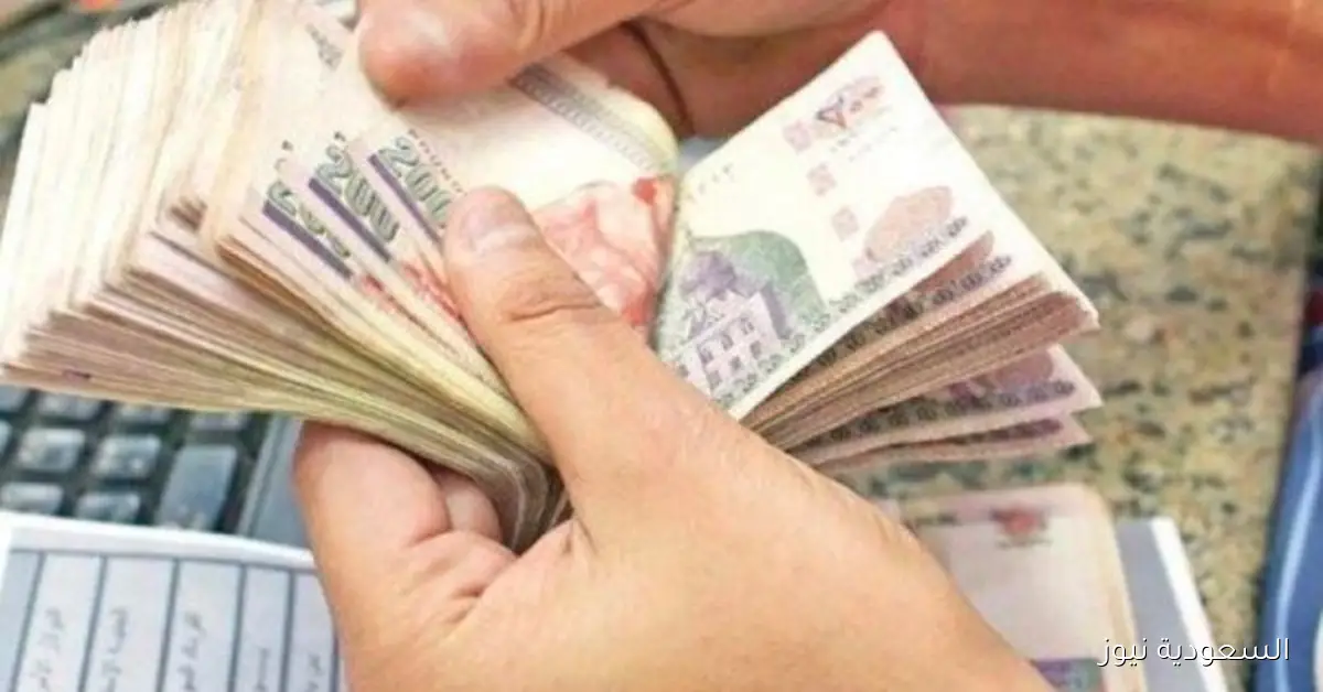 بشرى سارة للموظفين من الحكومة خلال أيام