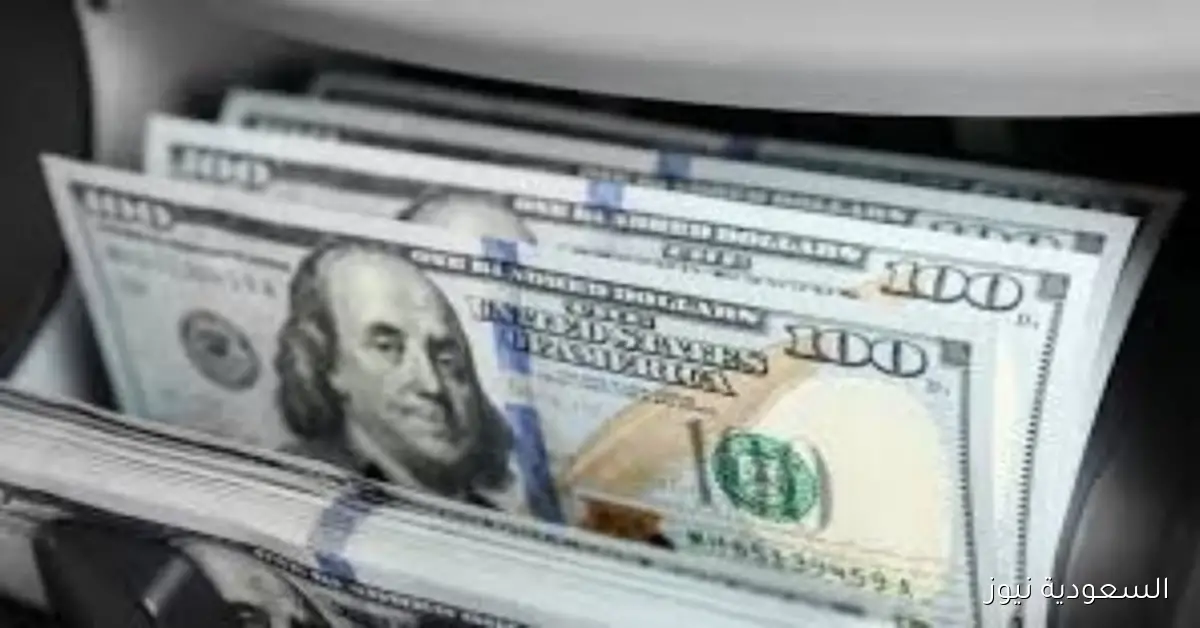 تحديث أسعار الدولار في البنوك وقيمته الحالية في البنك الأهلي المصري