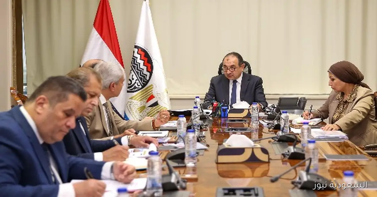 تحسين جودة المشروعات وتسريع التنفيذ أولوية وزير قطاع الأعمال لشركة النصر للإسكان