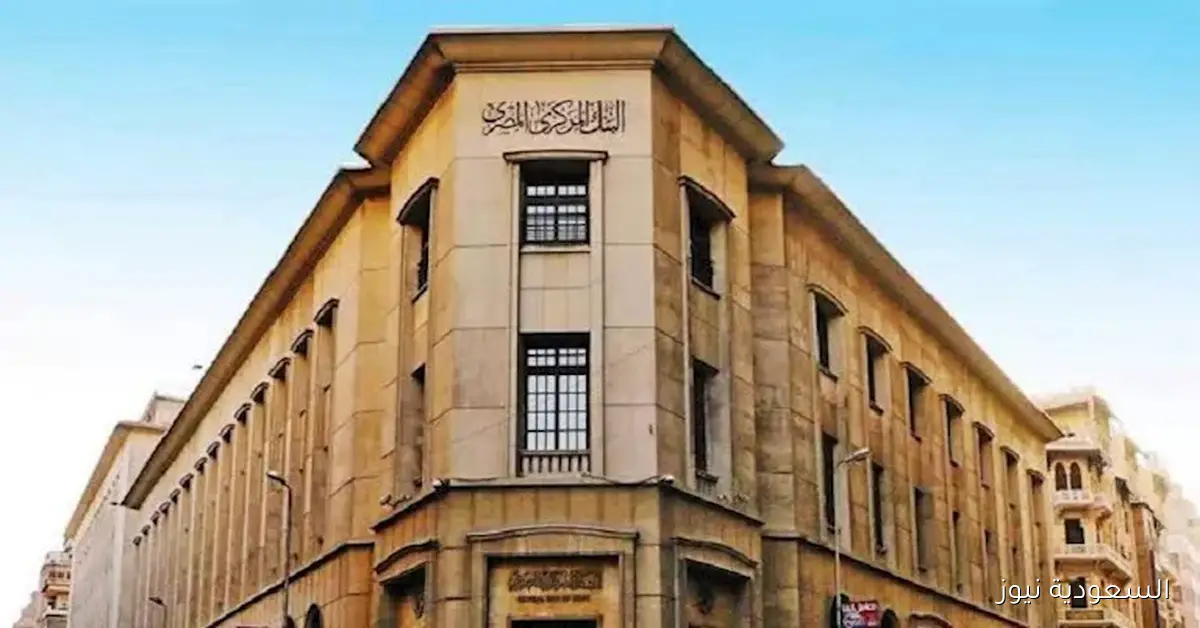 تنسيق مشترك بين الحكومة والبنك المركزي لتأمين العملة الأجنبية لسداد غرامات تأخير التوكيلات الملاحية