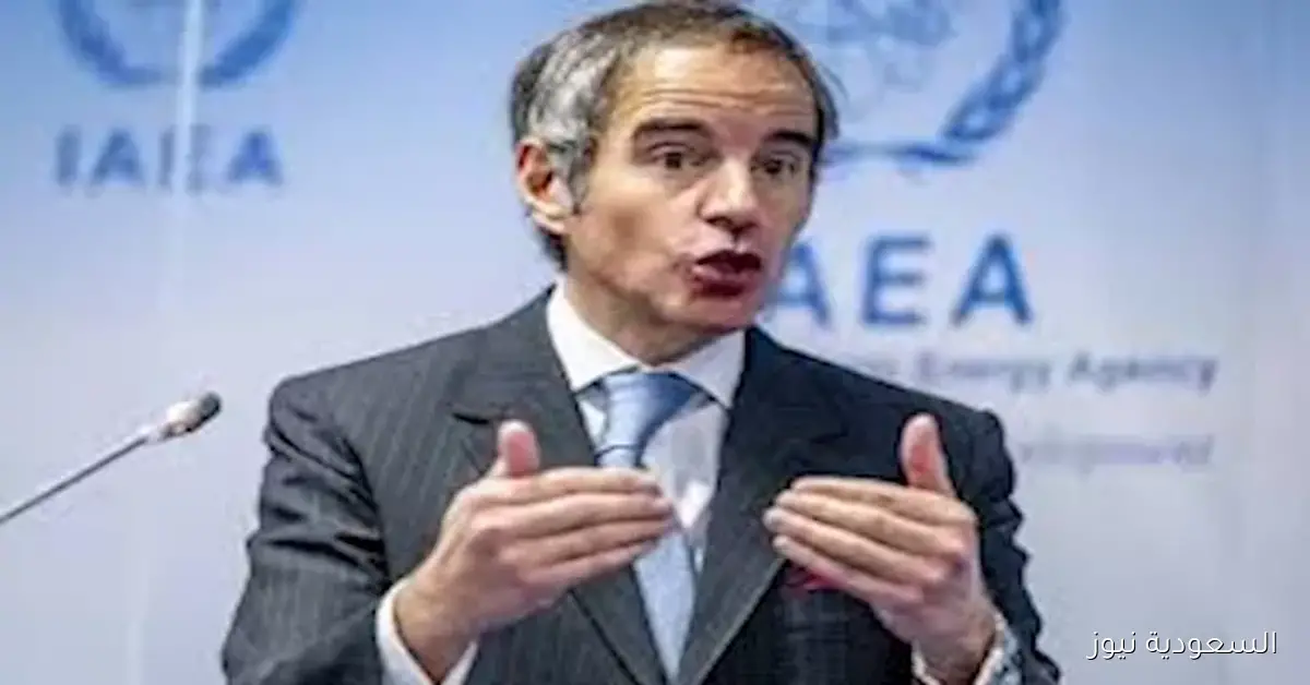 جروسي: التوترات العالمية قد تؤدي إلى استخدام بعض الدول للأسلحة النووية