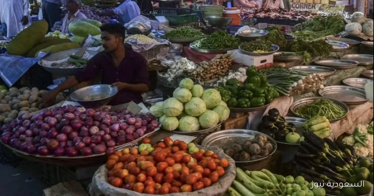 حازم المنوفي يبرز طفرة غير مسبوقة في قطاع الغذاء وأهمية الاكتفاء الذاتي