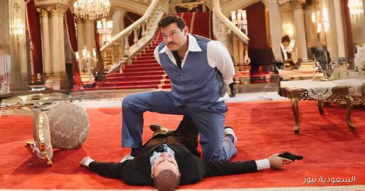 «درويش» يواصل تألقه في السينما المصرية