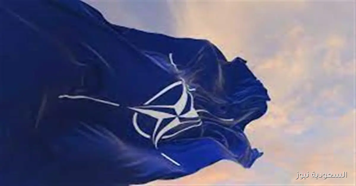 رؤساء أركان الناتو يتناولون في ريجا انتهاكات روسيا للمجال الجوي لدول الحلف