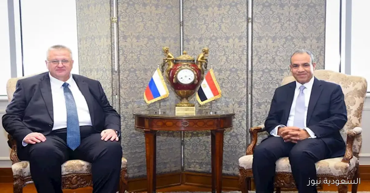 عبد العاطي يؤكد التزامنا بتعزيز التعاون في المشاريع المشتركة مع روسيا