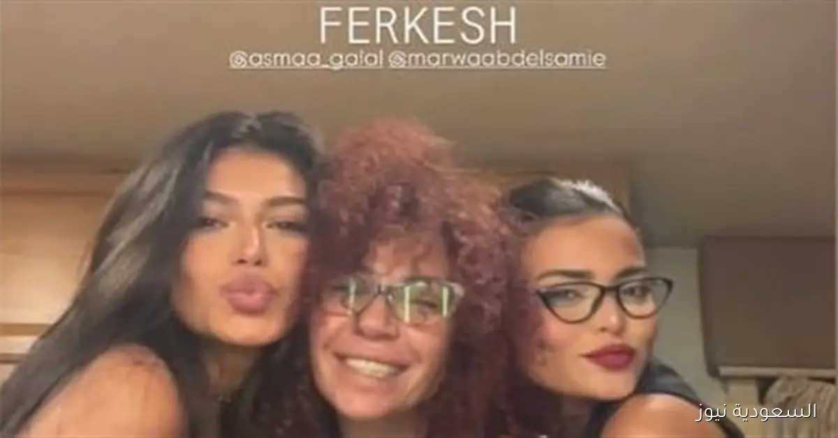 قريبا: انتهاء تصوير فيلم السلم والثعبان 2