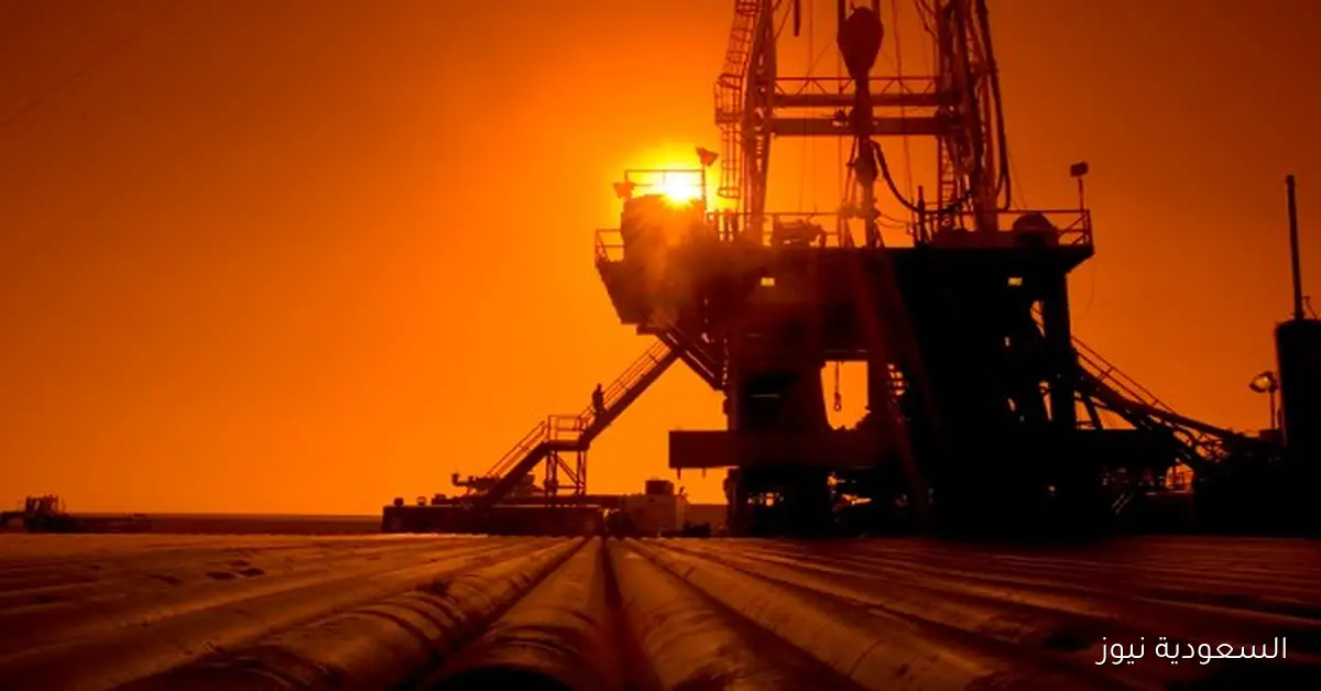 مباحثات مع تاج أويل الكندية لتعزيز الاستكشاف والإنتاج في الصحراء الغربية