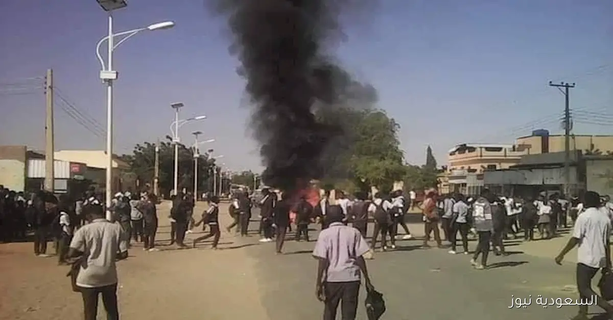 مصر تعبر عن إدانتها للهجوم على مسجد في مدينة الفاشر بالسودان