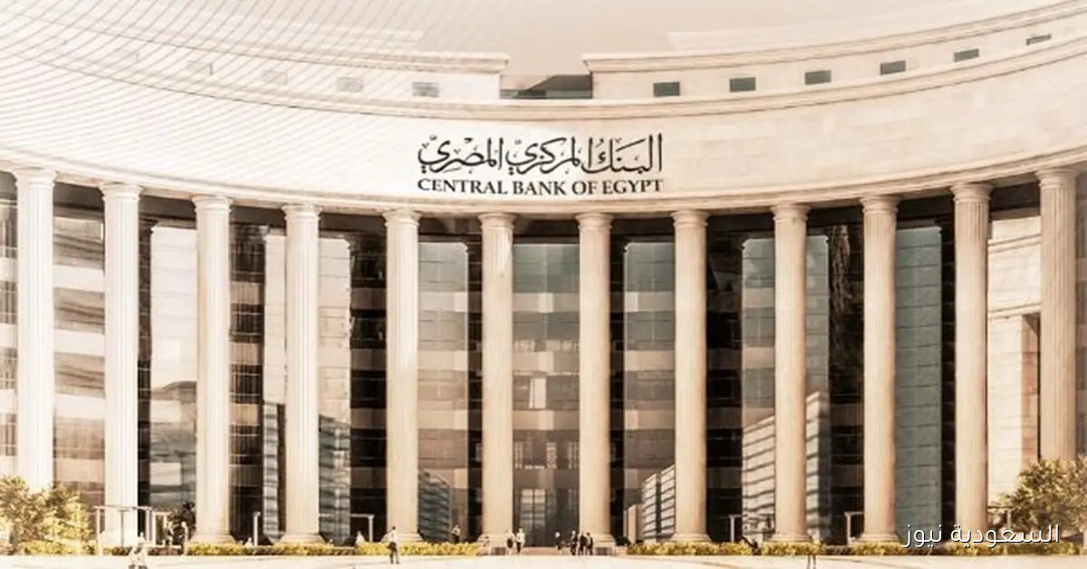 مصر تهدف لزيادة الاستثمارات الأجنبية بنسبة تتراوح بين 15 و20% بنهاية العام الجاري وفقًا لبشاي