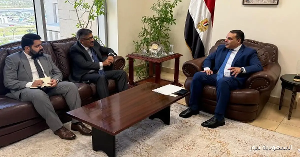 مصر وباكستان تسعيان لتعزيز التعاون الاقتصادي وزيادة الاستثمارات المشتركة