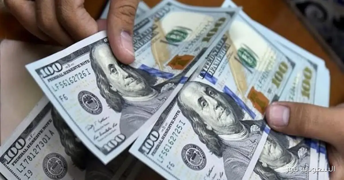 هبوط جديد في سعر الدولار بمصر الآن