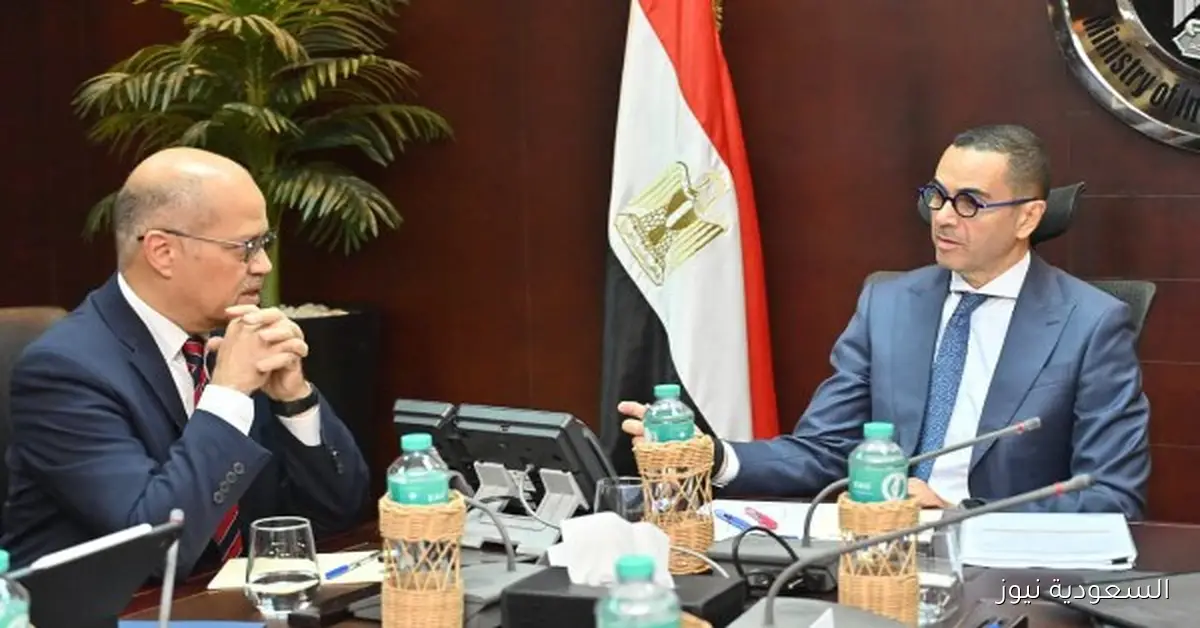 وزير الاستثمار يسعى لتعزيز مكانة مصر في مؤشر التعقيد الاقتصادي وزيادة تنافسية الصادرات