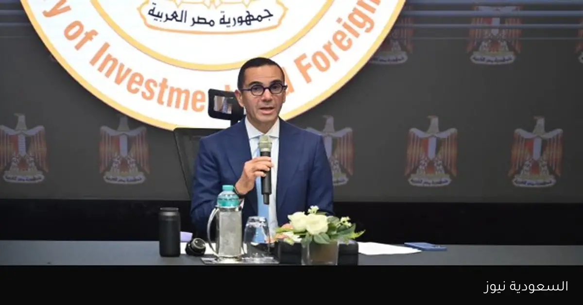 وزير الاستثمار يعلن عن خطة مبتكرة لمضاعفة الاستثمارات الأجنبية المباشرة
