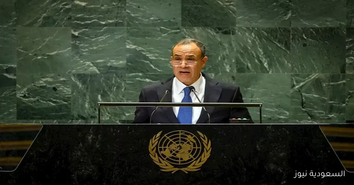 وزير الخارجية: إثيوبيا تظن أن مصر ستتجاهل حقوقها ومصالحها الحيوية في نهر النيل