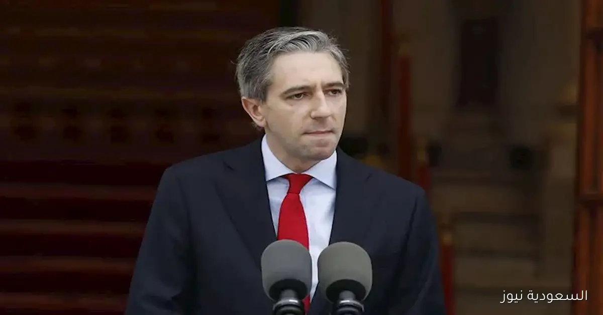 وزير الخارجية الأيرلندي يؤكد أن الاعتراف بالدولة الفلسطينية لا يكفي لتحقيق السلام