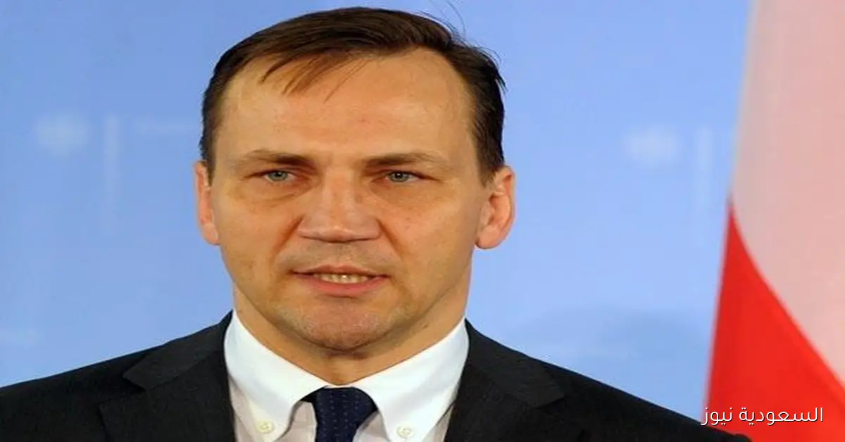 وزير الخارجية البولندي يوضح تفاصيل اختراق الطائرات المسيّرة لأجواء البلاد