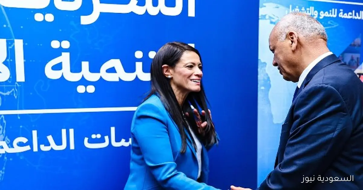 وزيرة التخطيط تؤكد أن مصر ستكون ثالث أكبر سوق للإنشاءات في المنطقة مع التزامها بخطط متوسطة المدى بدءًا من 2026