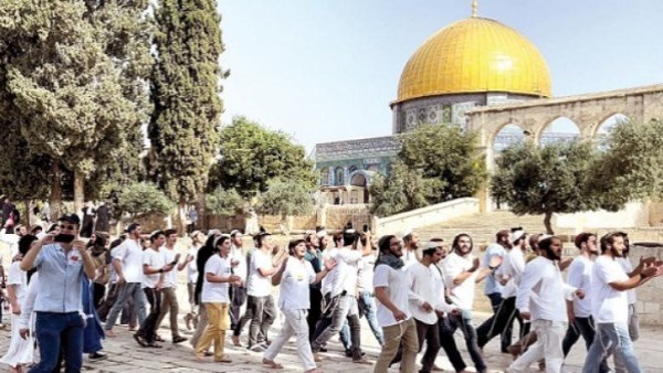 20 دبلوماسيًا يزورون شمال رام الله لتفقد اعتداءات المستوطنين