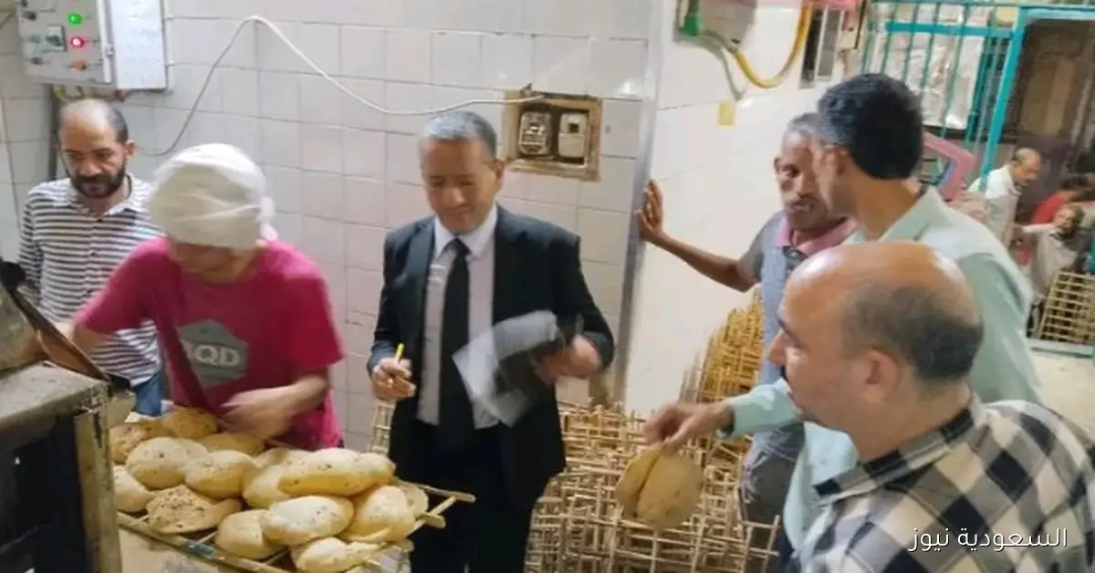 205 مخالفة تموينية خلال حملات موسعة على المخابز والأسواق في القاهرة