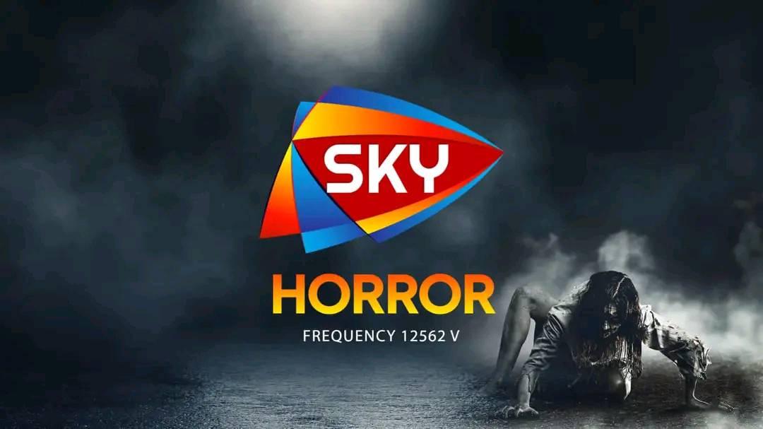 «يا عشاق الرعب» .. استقبلوا تردد قناة Sky Horror الجديد على النايل سات لعام 2025
