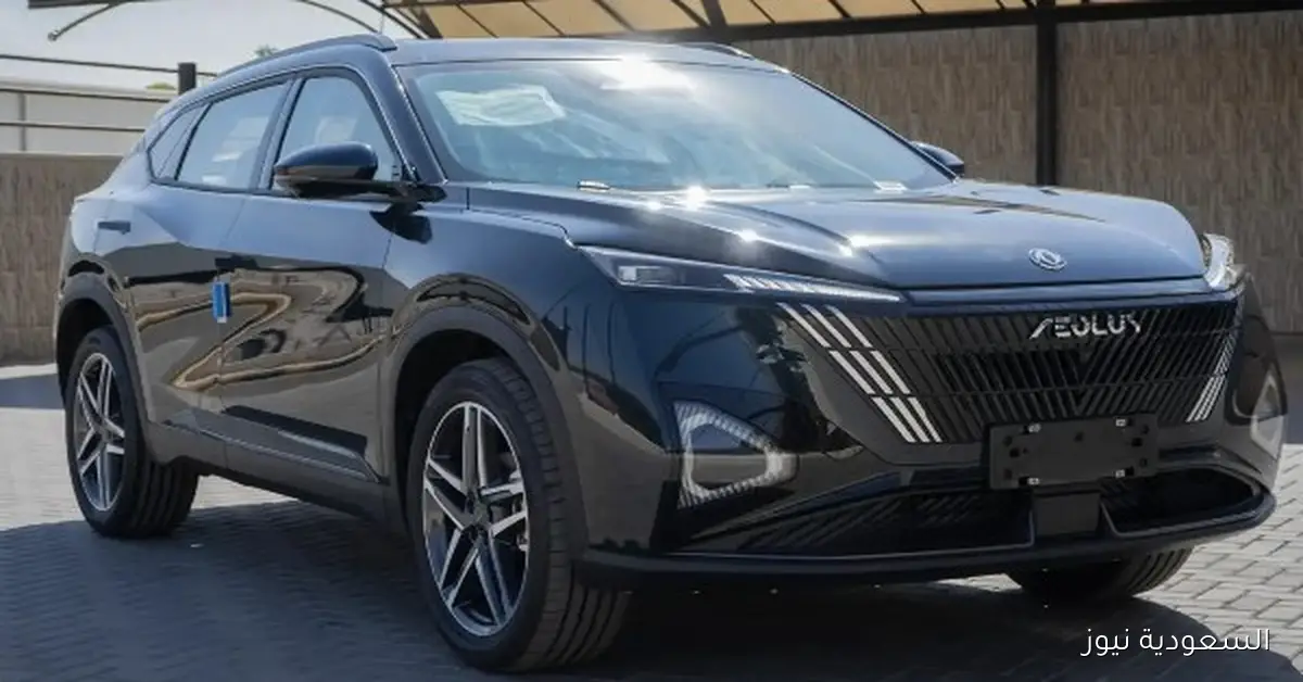 أسعار دونج فينج ميج 2025 في السوق السعودي تبدأ من 74 ألف ريال