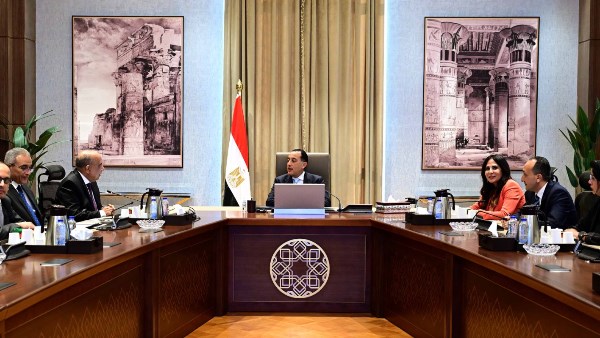 إنشاء جهاز للإشراف على مشروعات المحطات النووية لتوليد الكهرباء من قبل الحكومة