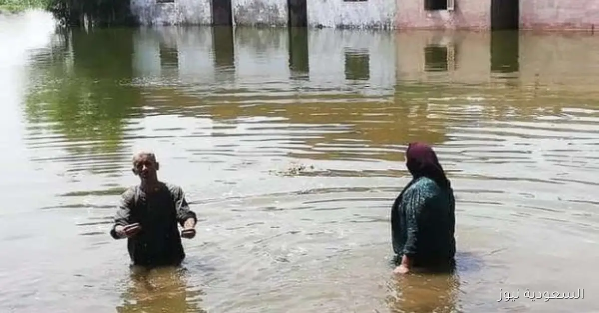 استعدادات وزارة الصحة لمواجهة فيضانات طرح النيل وتعزيز الوحدات الصحية القريبة