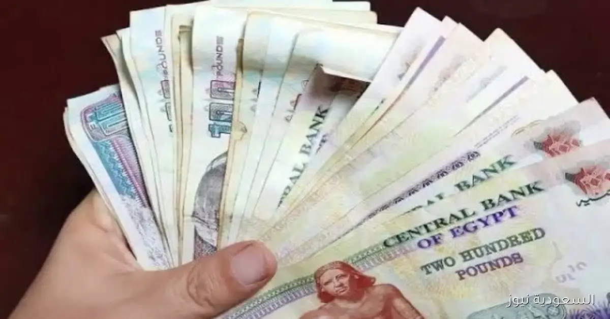 استعلم عن معاش نوفمبر 2025 وموعد صرفه